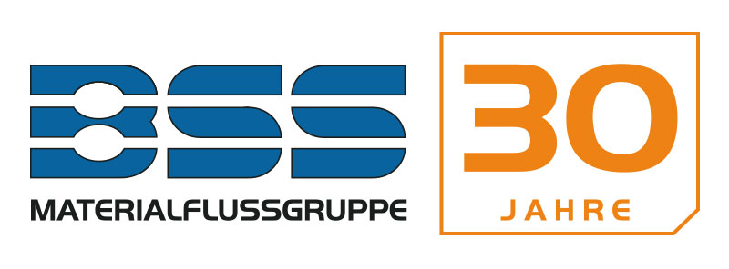 Logo 30 Jahre BSS