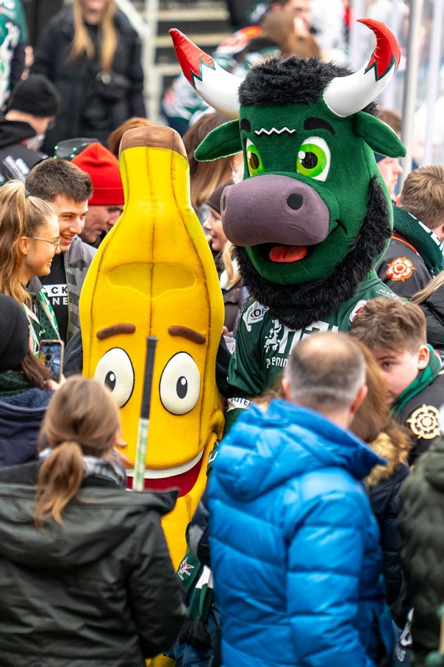 Zuschauerfoto Rofa Eishockey